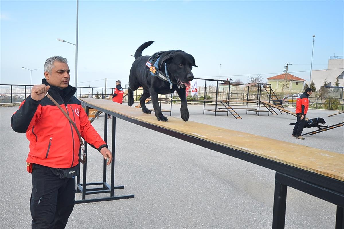 Arama kurtarma köpeği 'Şans' hayatını kaybetti