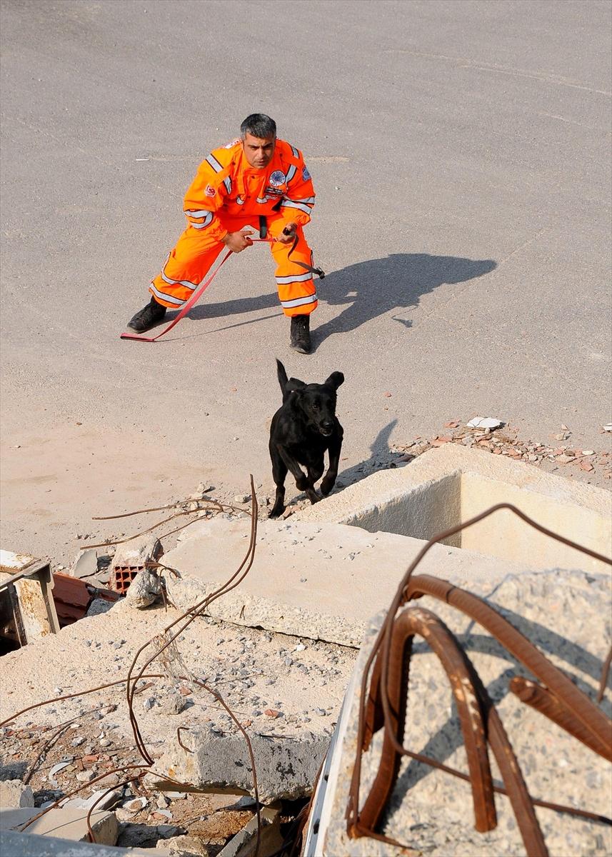 Arama kurtarma köpeği 'Şans' hayatını kaybetti