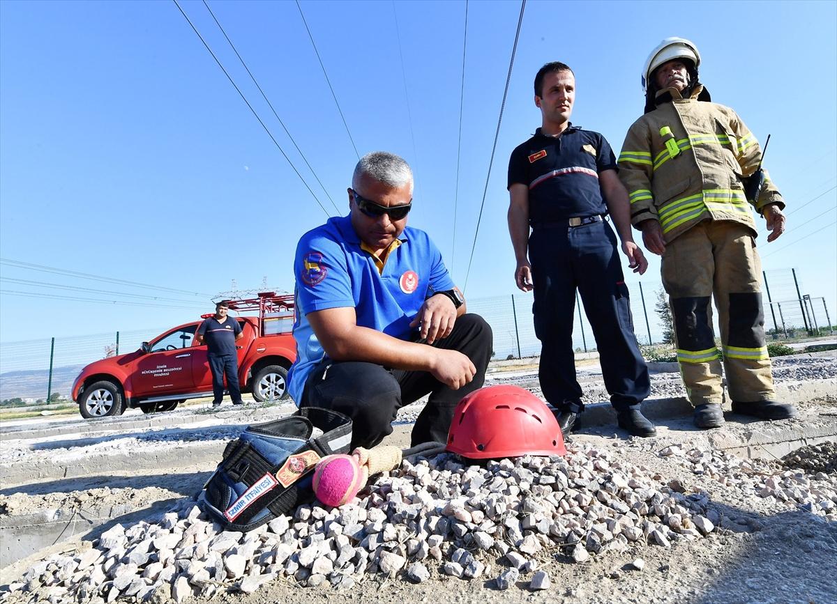 Arama kurtarma köpeği 'Şans' hayatını kaybetti