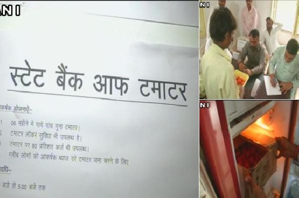 Hindistan'da domates bankası kuruldu