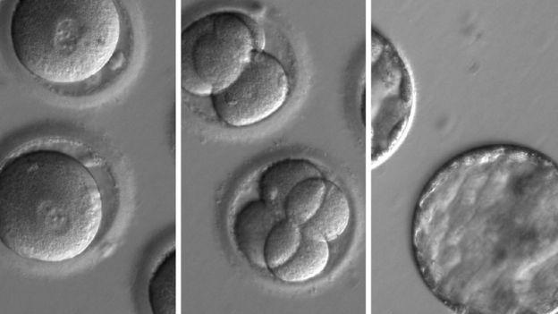 Hastalıklara genetik tedavi yolu açıldı