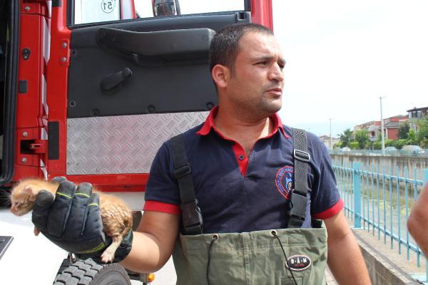 Dereye düşen yavru kedi kurtarıldı