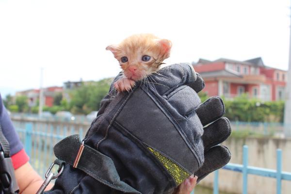 Dereye düşen yavru kedi kurtarıldı