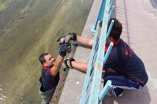 Dereye düşen yavru kedi kurtarıldı