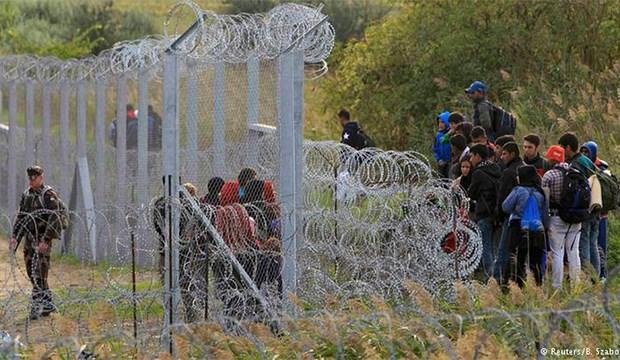 Almanlar Türkiye'nin duvar örmesinden rahatsız