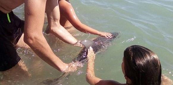 Yavru yunus selfie uğruna can verdi