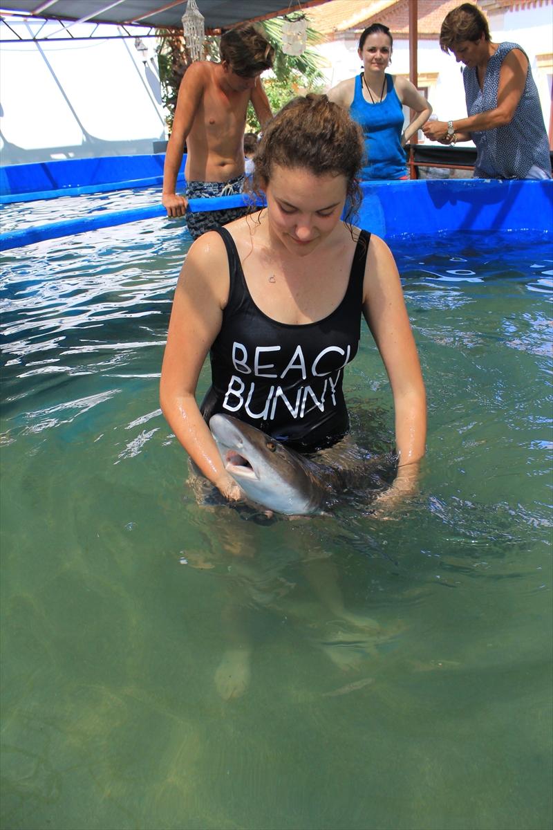 Turistlerin köpek balıklarıyla yüzme keyfi