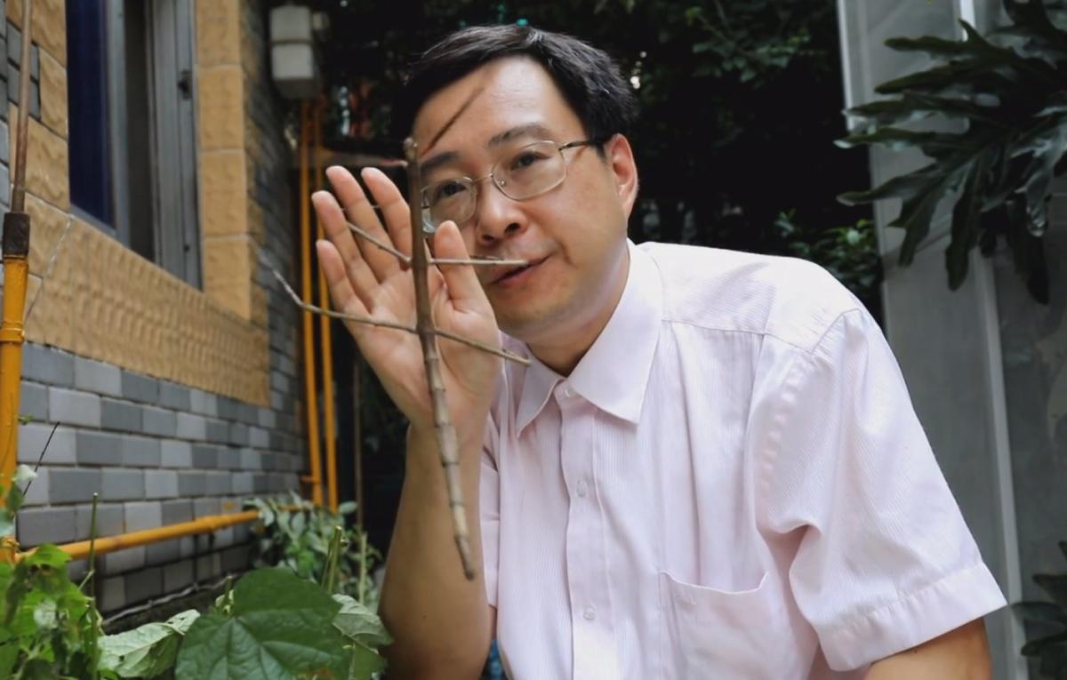 Dünya'nın en büyük böceği Çin'de