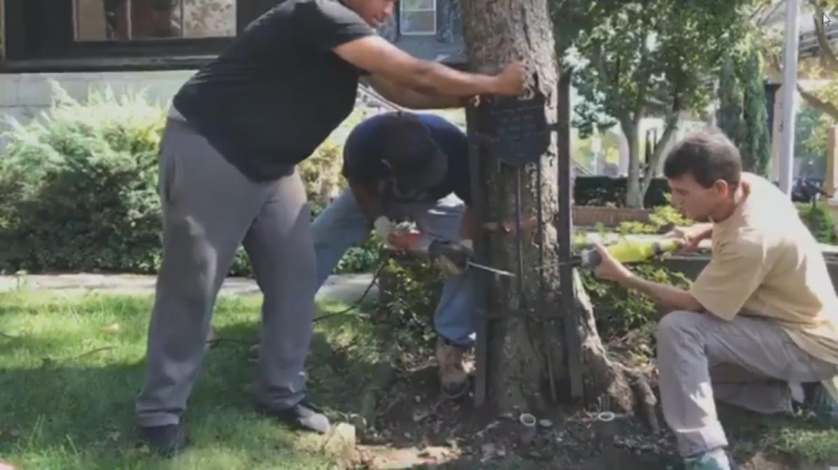 ABD'deki olaylar gittikçe büyüyor