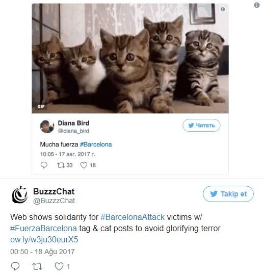 Barselona için 'kedi' dayanışması