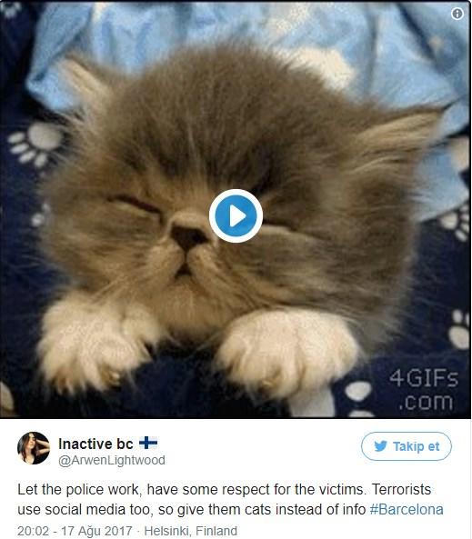 Barselona için 'kedi' dayanışması