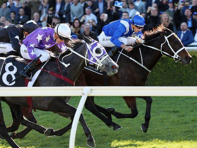 Yarış atından unutulmaz zafer