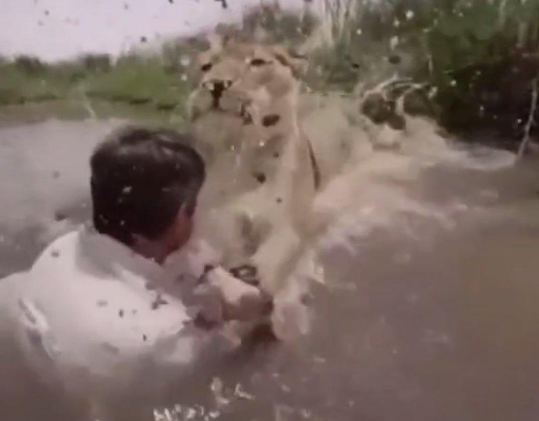 Aslanın yıllar sonra kurtarıcısıyla karşılaşma anı