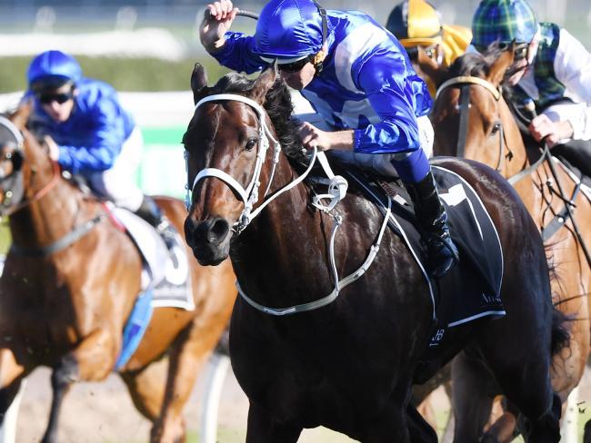 Yarış atından unutulmaz zafer