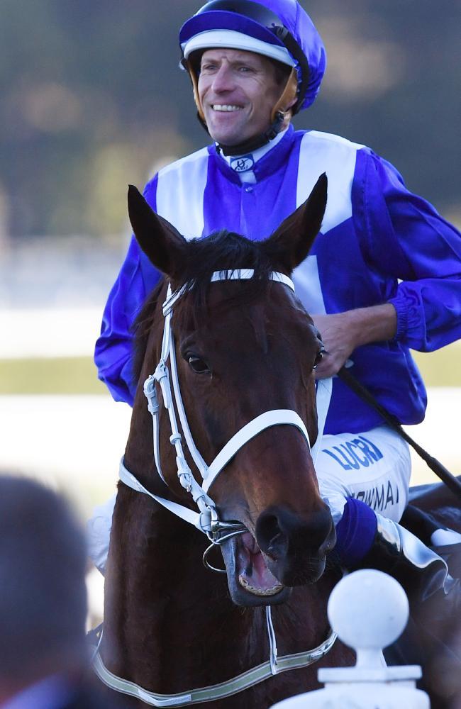 Yarış atından unutulmaz zafer