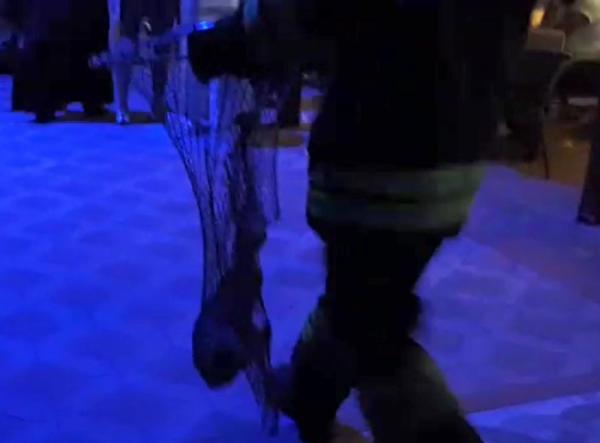 Hayvansever genç kedi için denize atladı