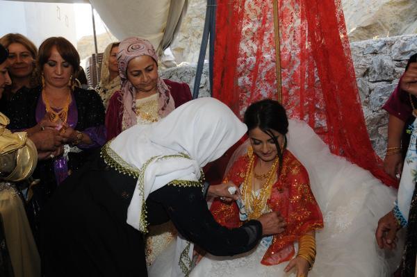 350 bin TL'lik altının takıldığı aşiret düğünü