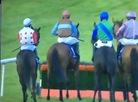 Atını yumruklayan İrlandalı jokey tepki topladı