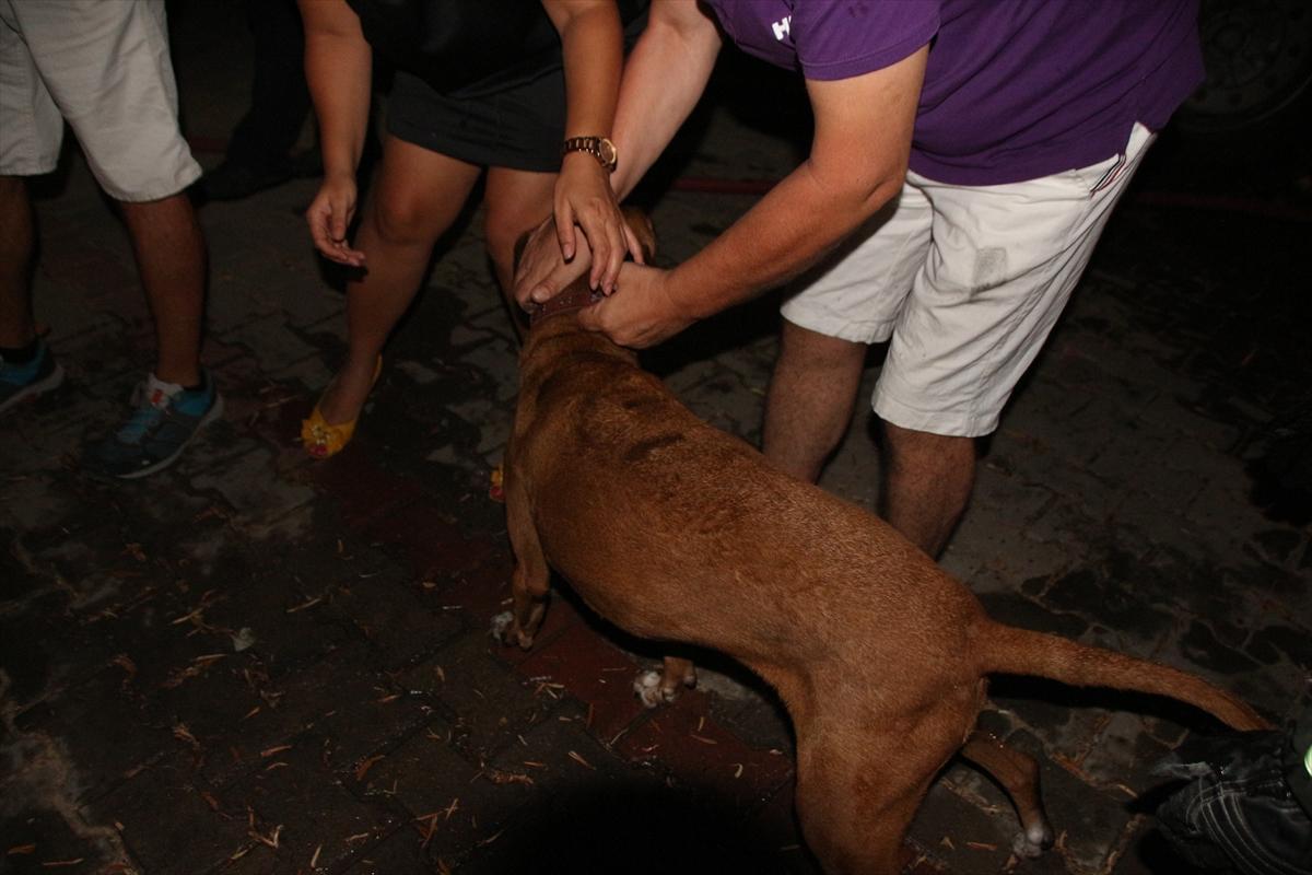 Bodrum'da ev yangını