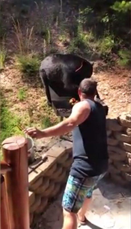 Aç kalan ayı, mangaldan et çaldı