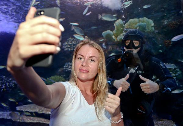 Akvaryumun yeni konukları inek burunlu vatozlar