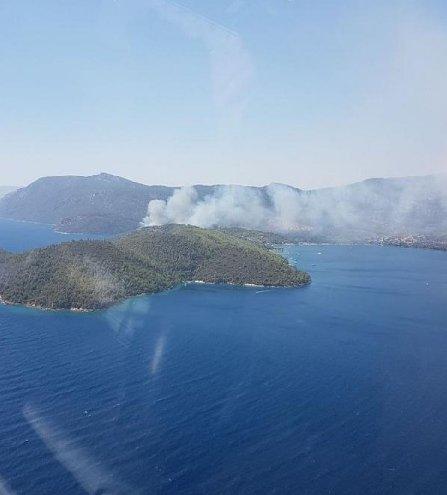 Milas' ta orman yangını