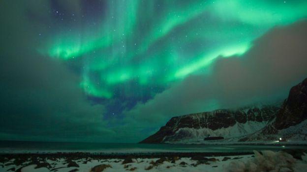 Kuzey Işıkları balinaları etkiliyor
