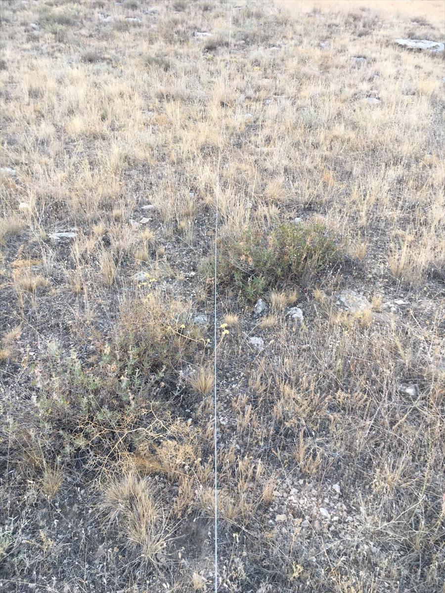 Sınıra kablo döşeyen 3 İranlı yakalandı