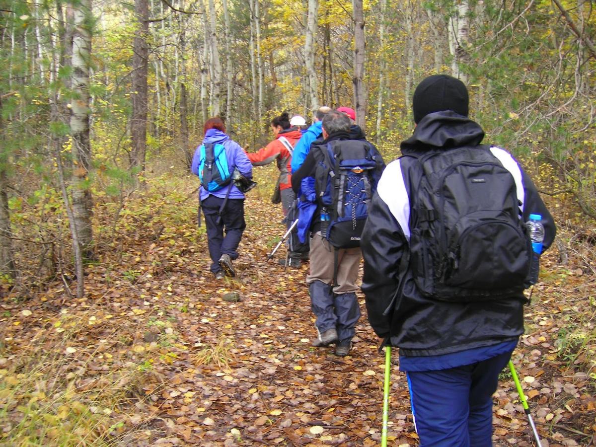 Mevsimsel depresyon nedir