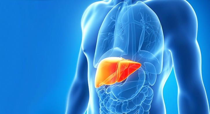 Karaciğer yetmezliği nasıl oluşur