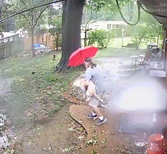 Ağaç dalı neredeyse üstüne düşüyordu