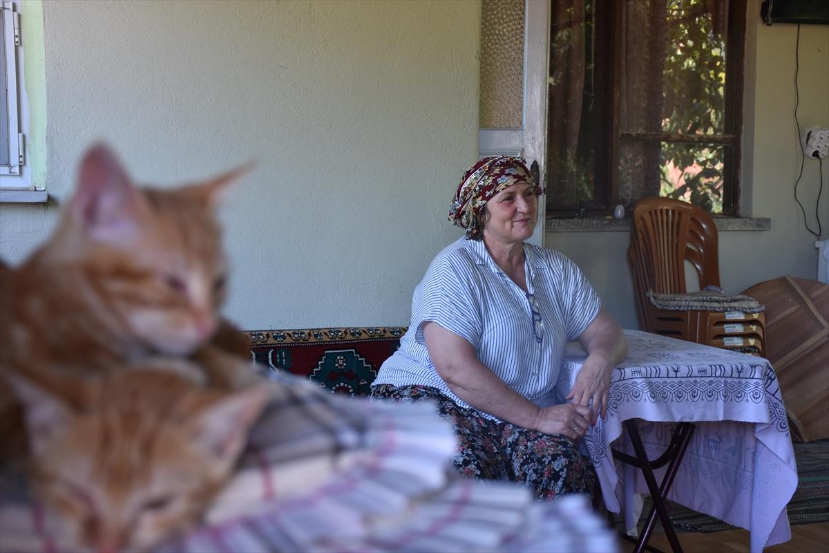 Köyünü ekoturizme açarak kadınlara örnek oldu