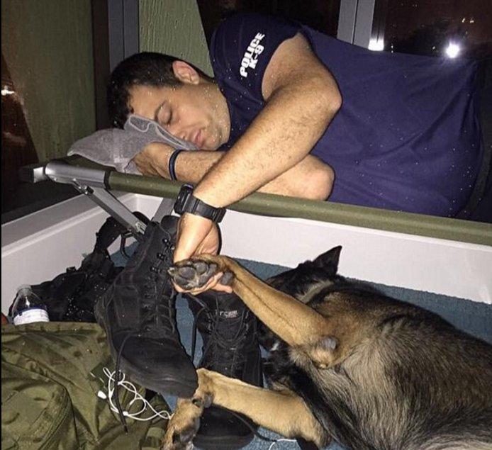 Florida polisi yorgun düştü