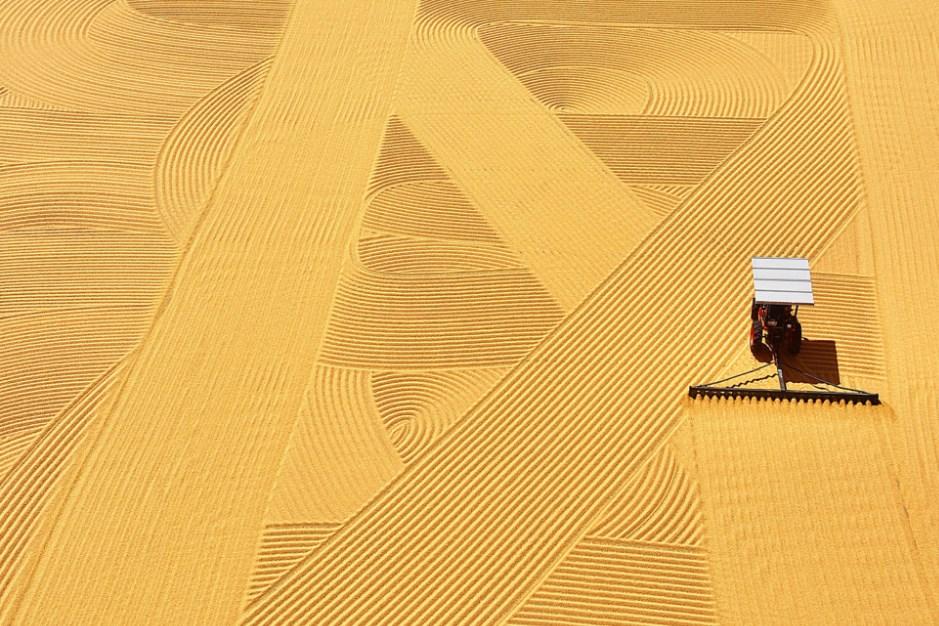 Bulgur nasıl üretilir ve faydaları nelerdir