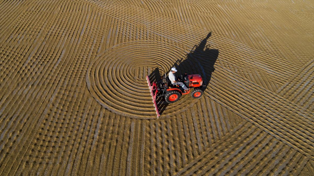Bulgur nasıl üretilir ve faydaları nelerdir