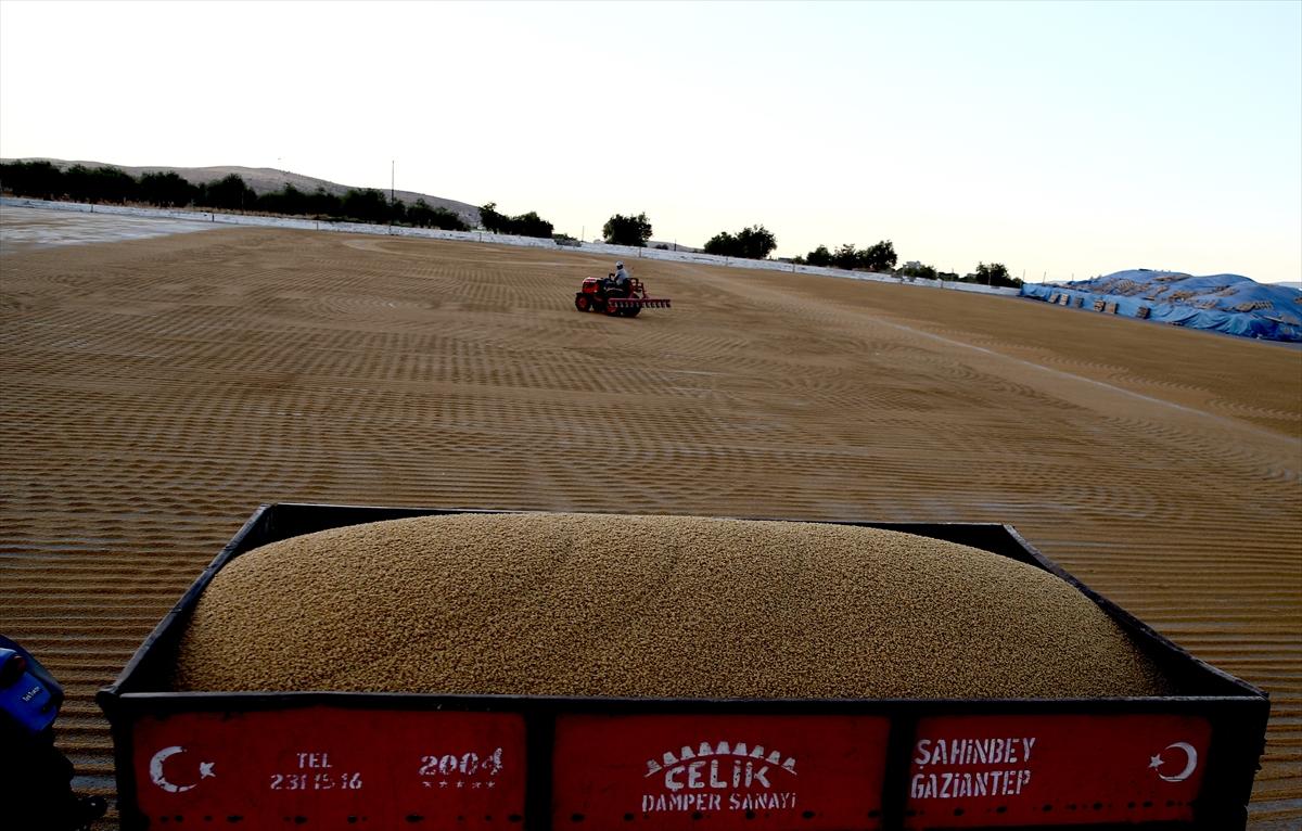 Bulgur nasıl üretilir ve faydaları nelerdir