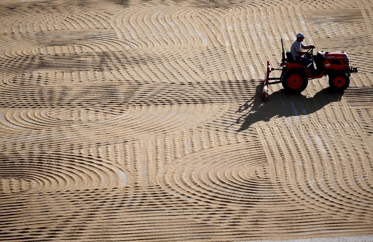 Bulgur nasıl üretilir ve faydaları nelerdir