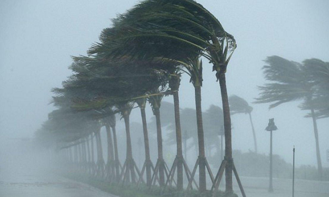 Florida polisi yorgun düştü