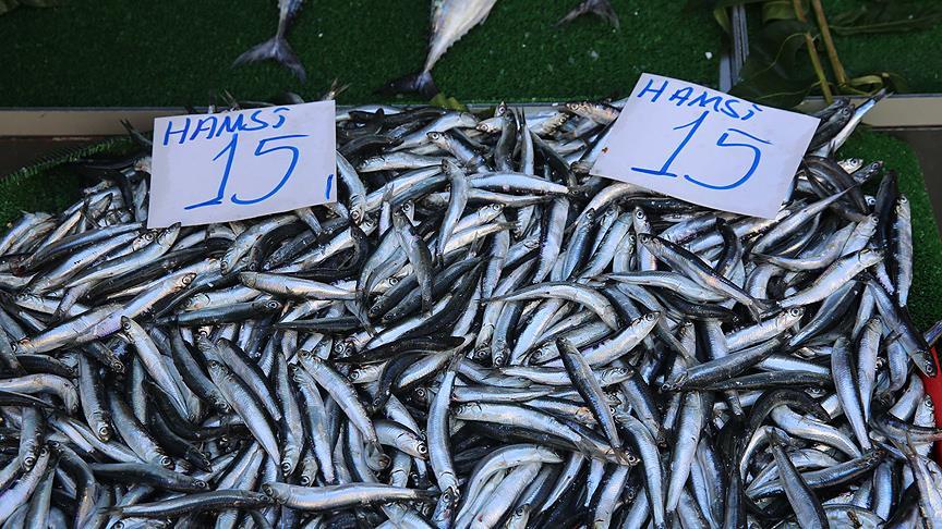 Hamsiler tezgahlarda yerini aldı