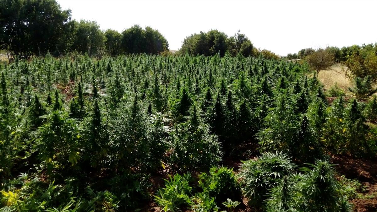 PKK'lı teröristler uyuz ilacı kullanıyor