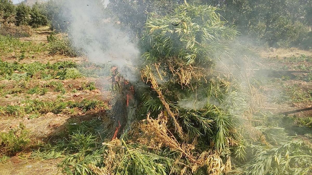 PKK'lı teröristler uyuz ilacı kullanıyor