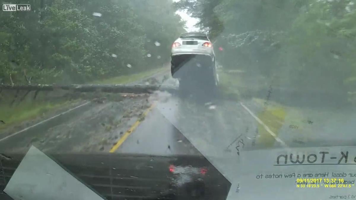 ABD'de yola düşen ağaca çarpan şanssız sürücü