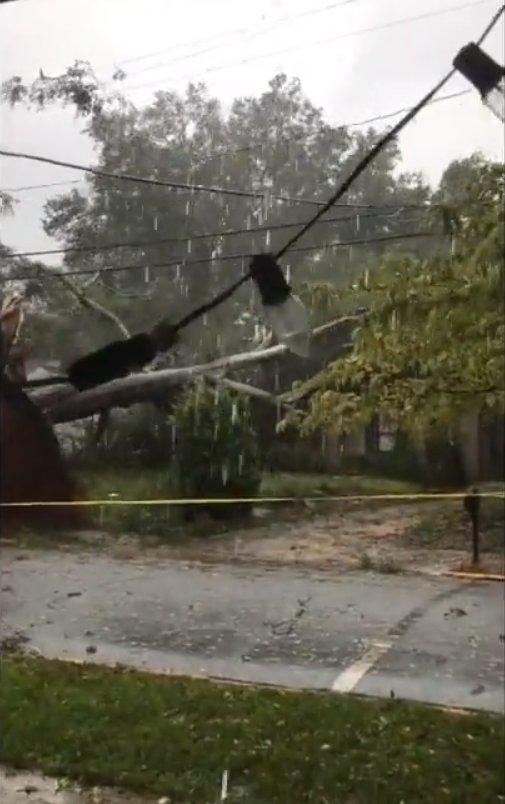 ABD'de ağaç evin üzerine devrildi