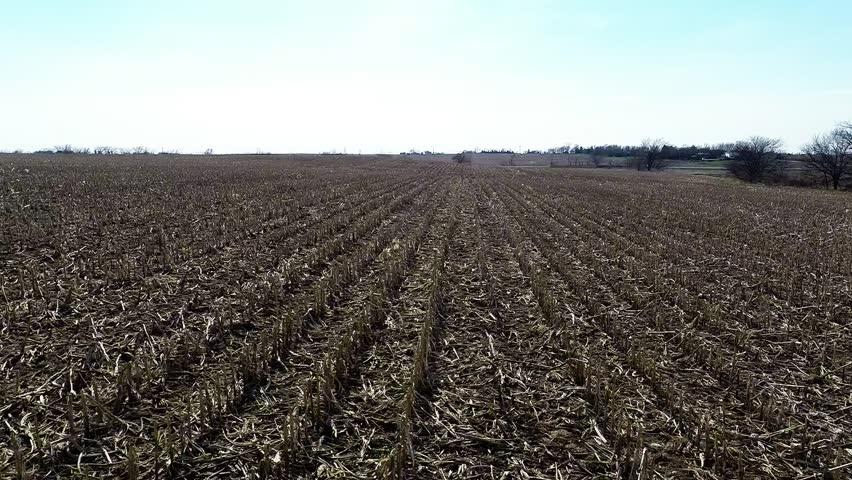 BM: Dünyada tarım arazilerinin üçte biri aşındı