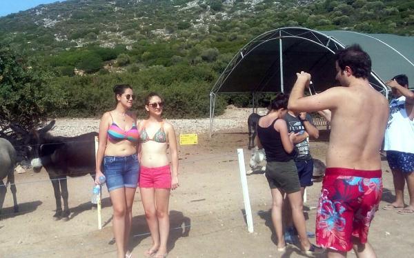 Eşek Adası'na turist akını