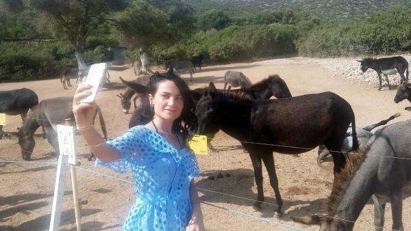 Eşek Adası'na turist akını