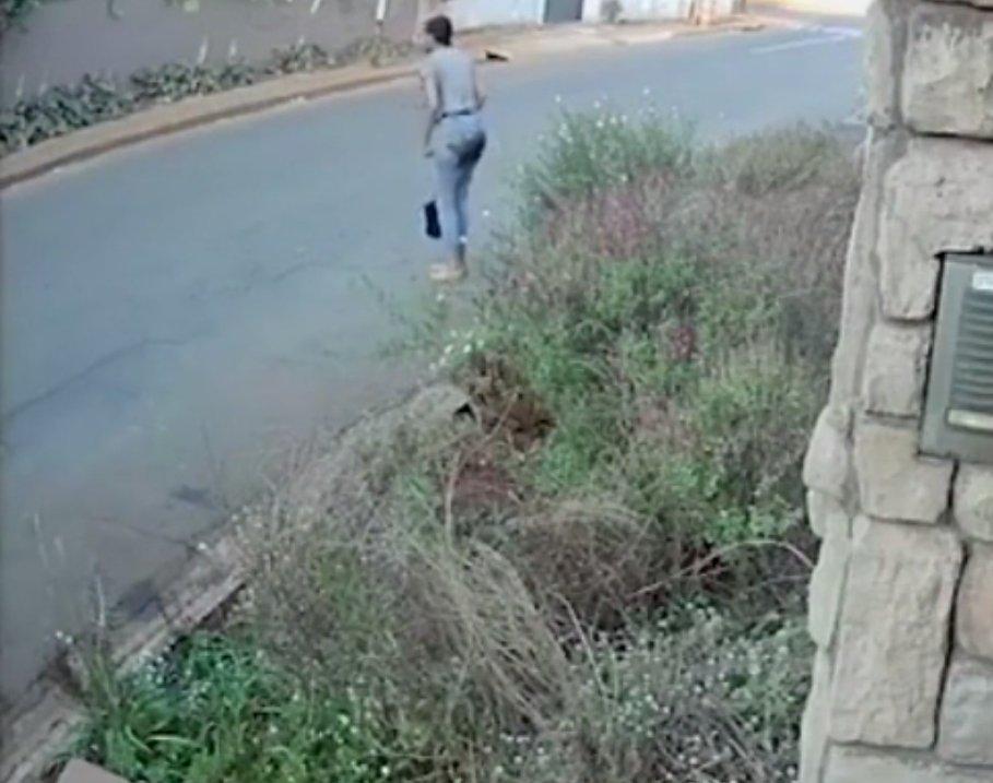 Tezini kaptırmamak için cesurca mücadele etti