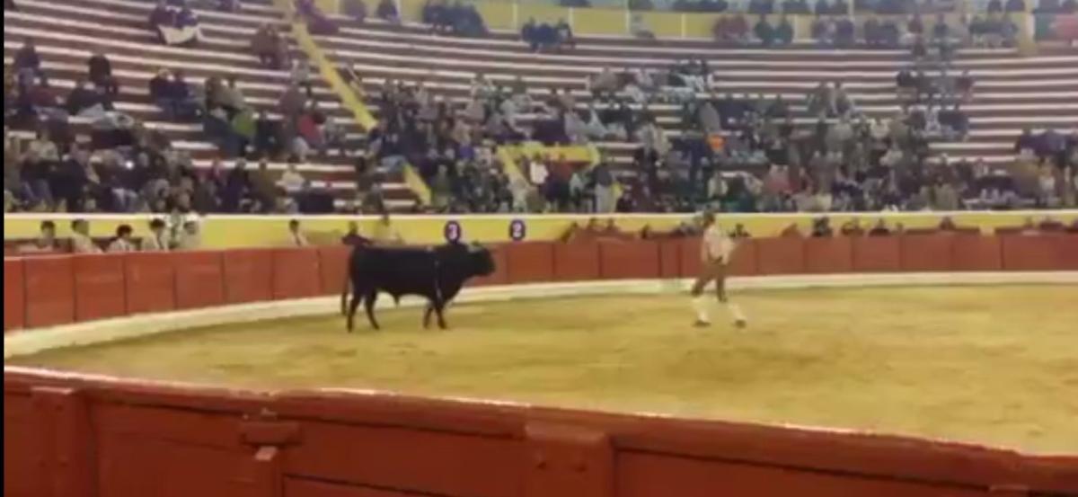 Boğa matadorun canını aldı