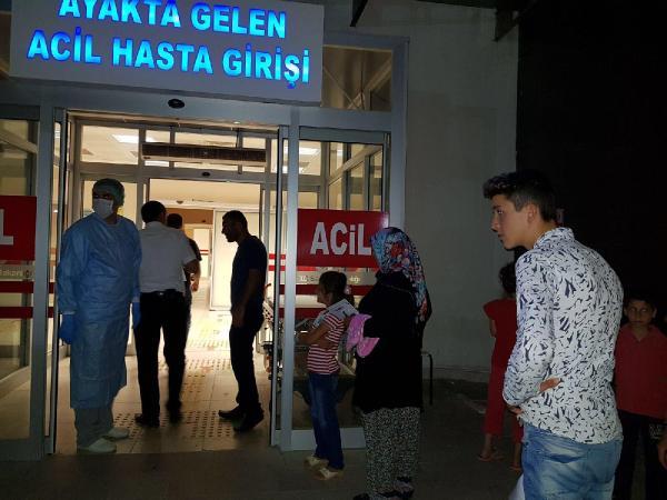 Bursa'da uyuz salgını şüphesi