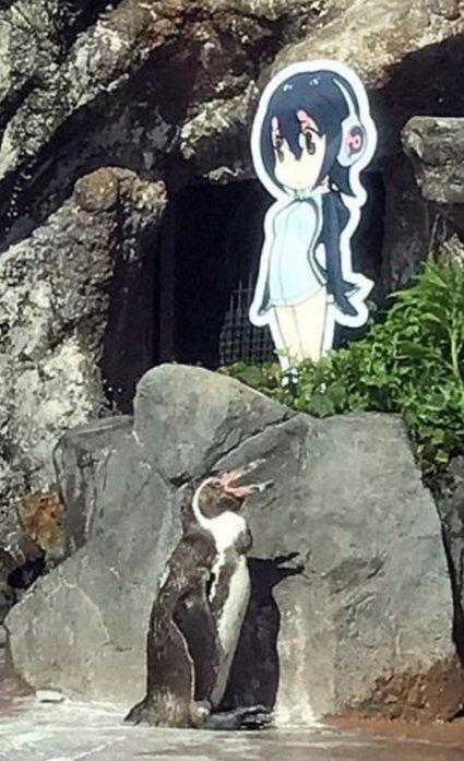 Dünyanın en mutsuz pengueni